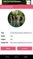 Image Downloader. 截圖 1