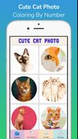 Cat Photo Coloring poster