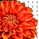 Flowers Picture Coloring-APK