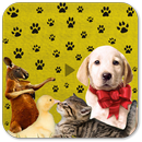 Funny Animal Videos - Cats, Dogs Clips Free APK