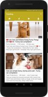 Funny Animal Videos - Cats, Dogs Clips Free capture d'écran 1