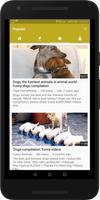 Funny Animal Videos - Cats, Dogs Clips Free capture d'écran 2