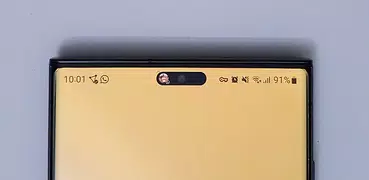 Dynamic Notification Island