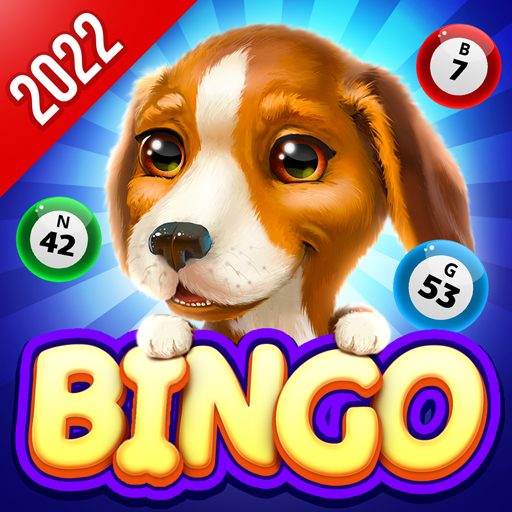 Bingo Dog - Fun Game 2022