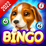 Bingo Dog icône