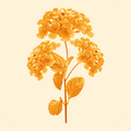 Lantana in Residence