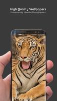 Animals Wallpapers پوسٹر