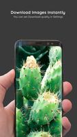 Cactus Wallpapers 截圖 1