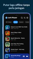 Lark Player poster