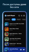 Lark Player постер