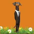 Dog breeds and photos APK
