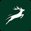 Wild Poland icon