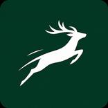 Wild Poland