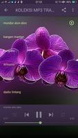 ilux 2020 Offline 海报