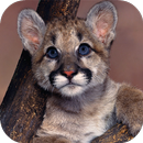 Fondos de Pantalla Puma HD APK