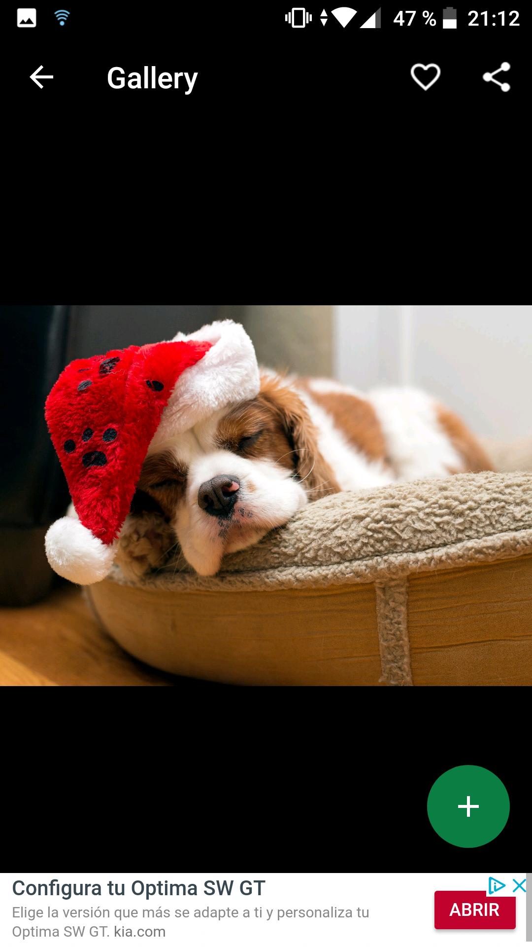 Fondos Pantalla Cavalier King Charles Spaniel Hd For Android Apk Download