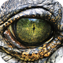 Fondos de Pantalla Cocodrilo HD APK