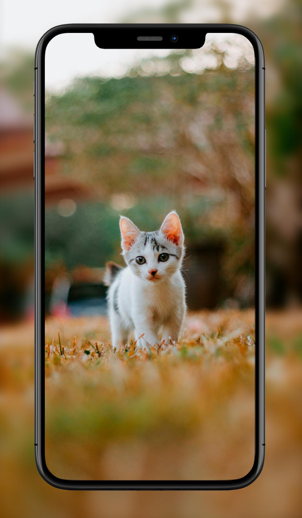 Descarga de APK de Fondos Animales Lindos para Android Descarga de APK de Fondos Animales Lindos para Android