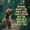 Animals Quotes APK