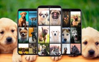 Dog Wallpapers 포스터