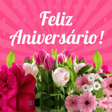 Imagens Feliz Aniversário icon