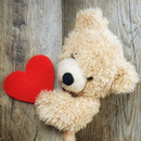 Fondos de Pantalla Osos de Peluche APK