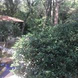 Cedar Hill Marketplace