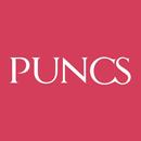 APK Puncs