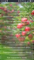 Дача capture d'écran 1
