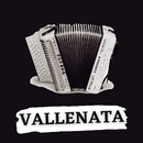 Música Vallenata Variada Rmntc APK