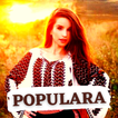 Muzica Populara Romaneasca icon