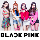 BLACKPINK 블랙핑크 Best Songs mp3 Offline APK