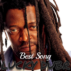 Best LUCKY DUBE Songs Offline أيقونة