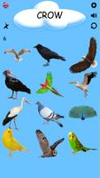 تعلم أنواع الطيور مع دعم اللغة تصوير الشاشة 1