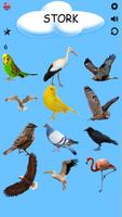 تعلم أنواع الطيور مع دعم اللغة تصوير الشاشة 2
