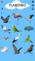 تعلم أنواع الطيور مع دعم اللغة تصوير الشاشة 3