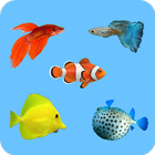 Learning Name Of Fishes icon