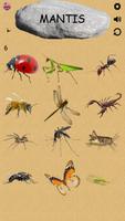 Insects - Learning Insects. Practice Test Sound capture d'écran 1