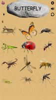 Insects - Learning Insects. Practice Test Sound capture d'écran 2