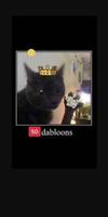 Dabloon Master imagem de tela 3