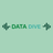 DataDive APK