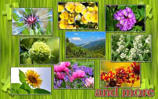 Flowers Jigsaw Puzzle screenshot 1