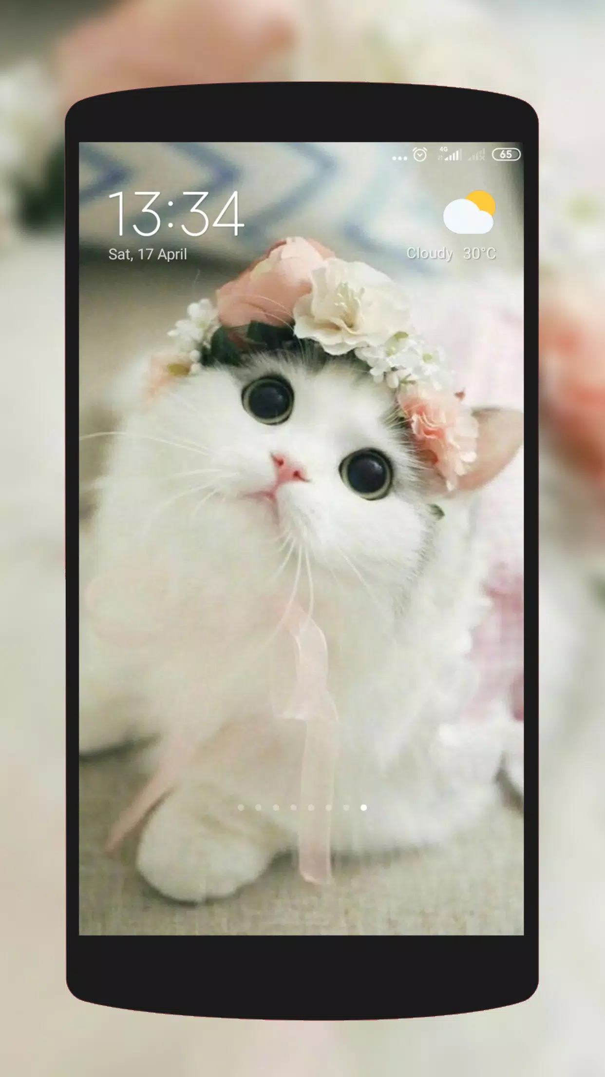 Cute Cat Wallpaper HD APK for Android Download Cute Cat Wallpaper HD APK for Android Download