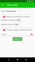 1 Schermata Immagine in PDF