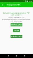 2 Schermata Immagine in PDF