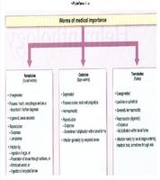 Atlas parasitology ภาพหน้าจอ 1