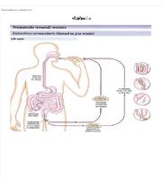 Atlas parasitology screenshot 2