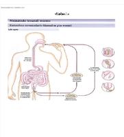 برنامه‌نما Atlas parasitology عکس از صفحه