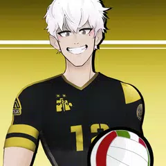 排球高手 APK 下載