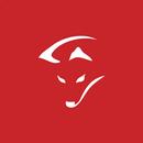 Smartfox Energiemanagement APK